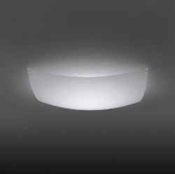 quadra-19